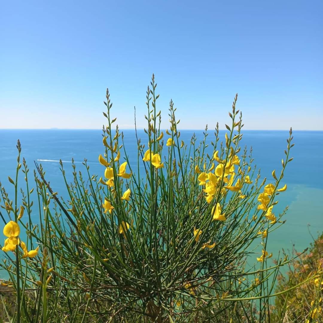 Appartamento La Finestra Sul Parco La Spezia Esterno foto